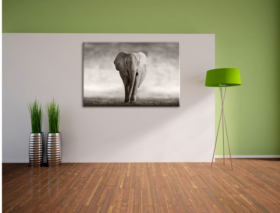 Einsamer Elefant Leinwandbild im Flur