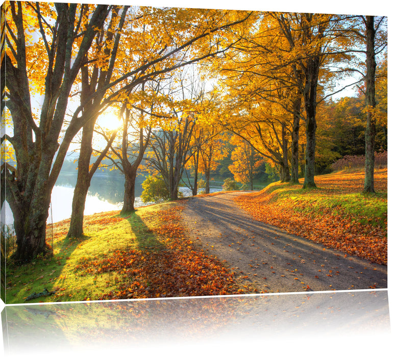 Pixxprint Sonniger Park am See, Leinwandbild