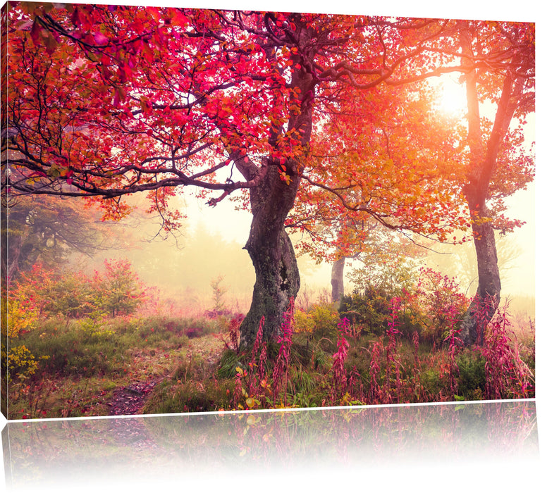 Pixxprint Traumhafte Herbstlandschaft, Leinwandbild