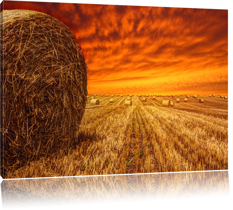 Pixxprint Feld im Sonnenuntergang, Leinwandbild