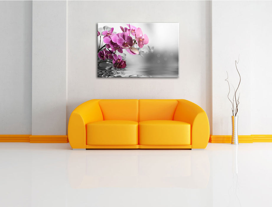Orchideenblüten über Wasser Leinwandbild über Sofa