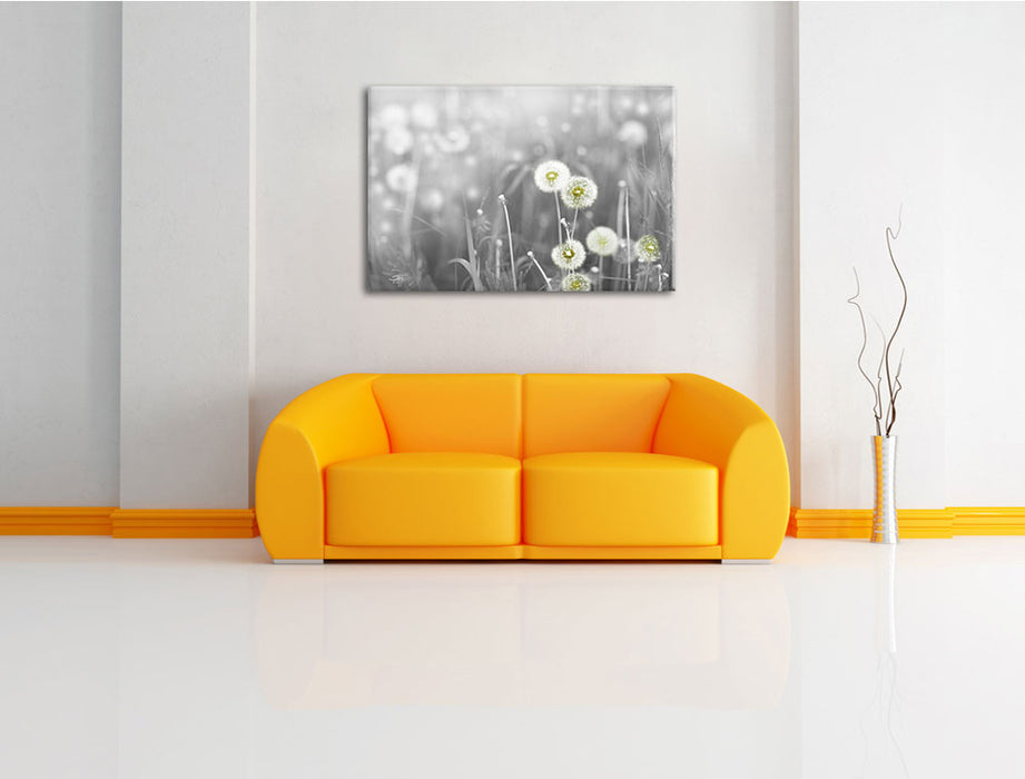wunderschöne Pusteblumen Leinwandbild über Sofa
