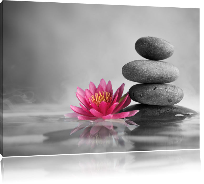 Pixxprint Seerosenblüte vor Zen Steinen, Leinwandbild