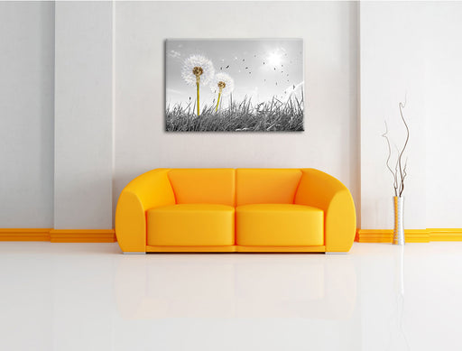 Pusteblumen auf Wiese Leinwandbild über Sofa