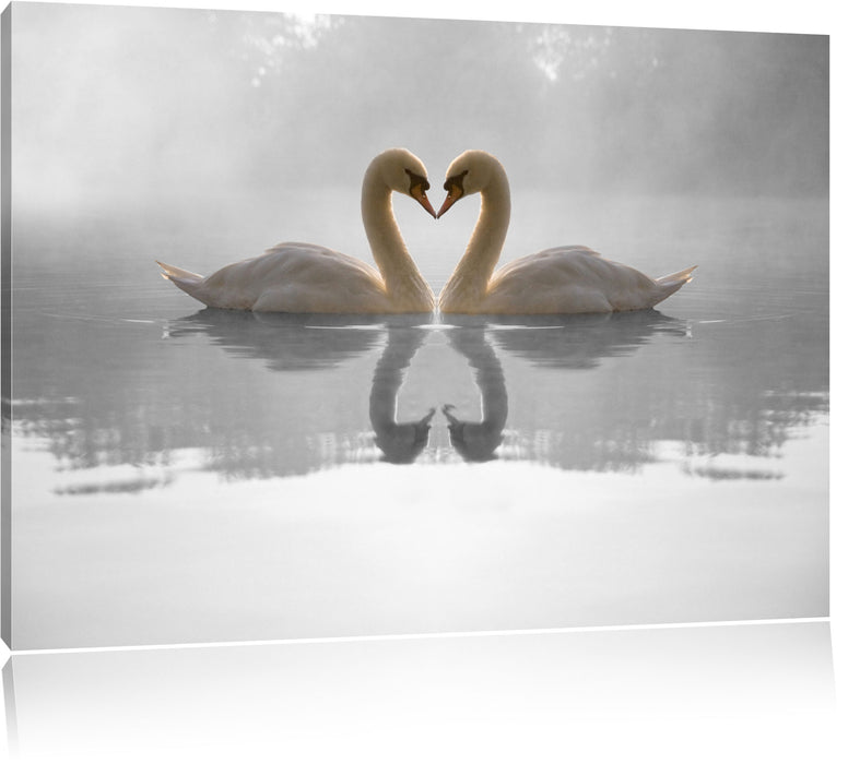 Pixxprint verliebte Schwäne auf See, Leinwandbild