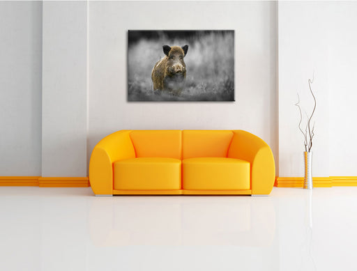 einsames Wildschwein im Wald Leinwandbild über Sofa
