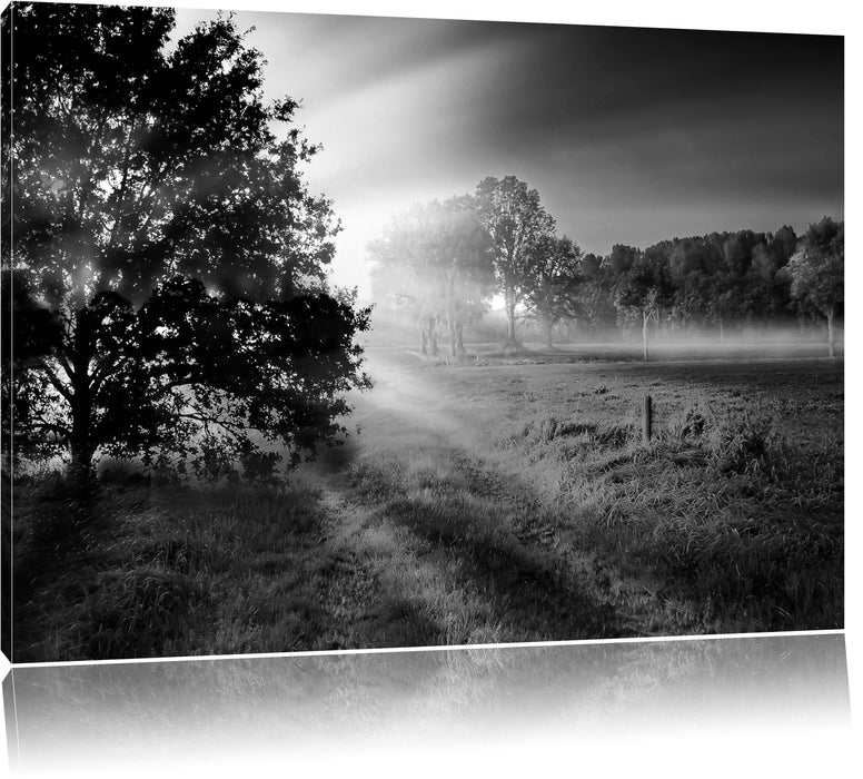 Pixxprint schöne Lichtung im Wald, Leinwandbild