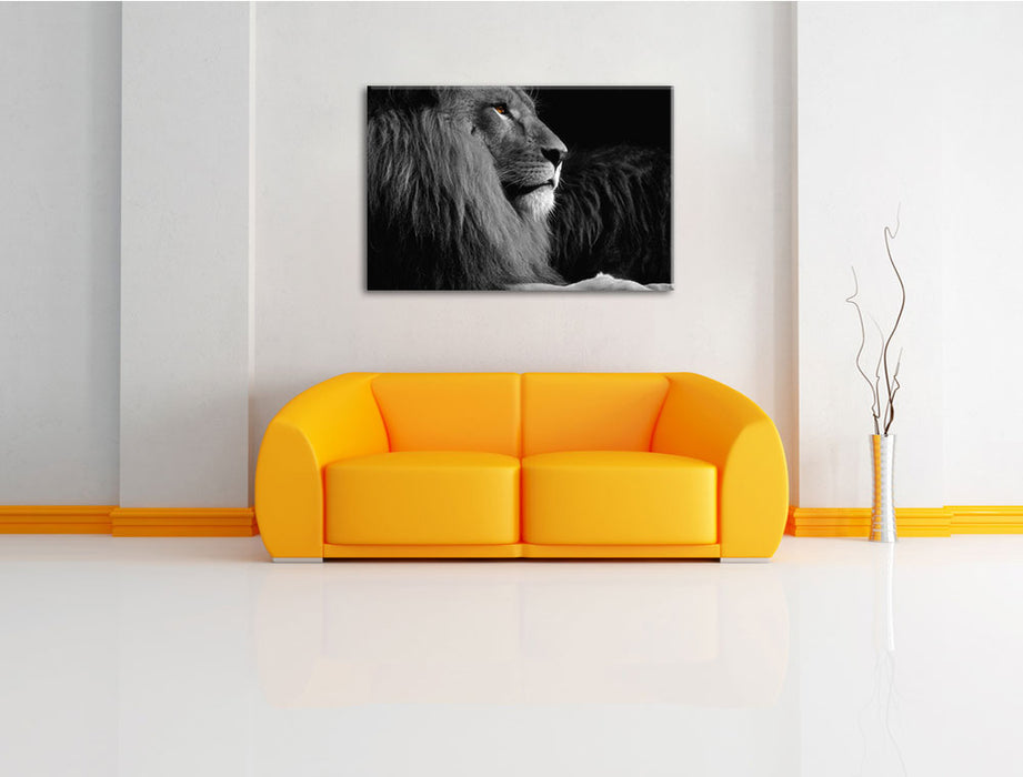wunderschöner stolzer Löwe Leinwandbild über Sofa