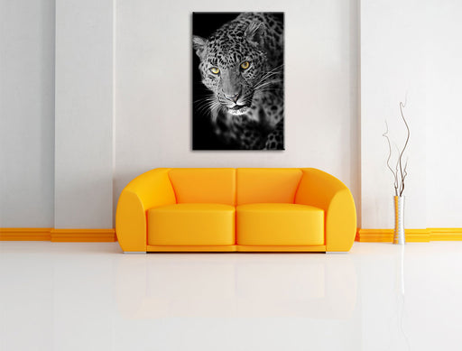 prächtig anmutiger Leopard Leinwandbild über Sofa