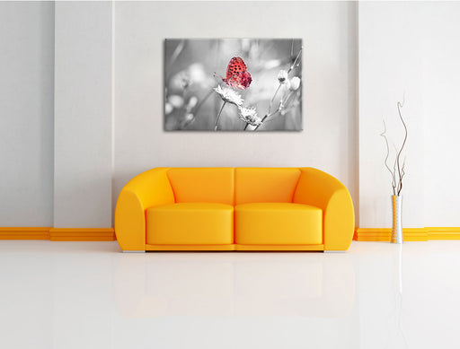 Schmetterling auf Blüte Leinwandbild über Sofa