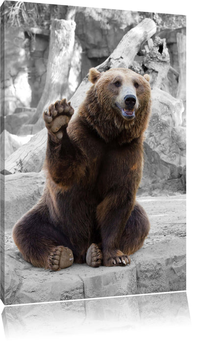 Pixxprint dicker Bär sagt Hallo, Leinwandbild