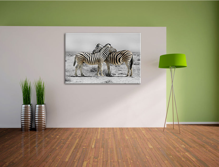Zebras in der Savanne Leinwandbild im Flur
