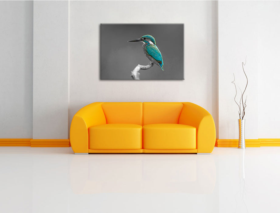 wunderschöner Eisvogel auf Ast Leinwandbild über Sofa