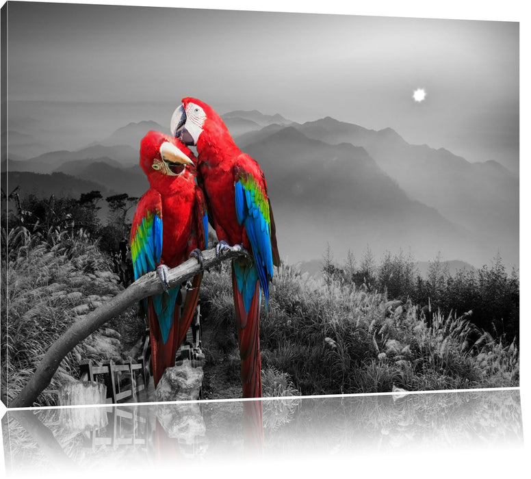 Pixxprint süße Papageien auf Ast, Leinwandbild