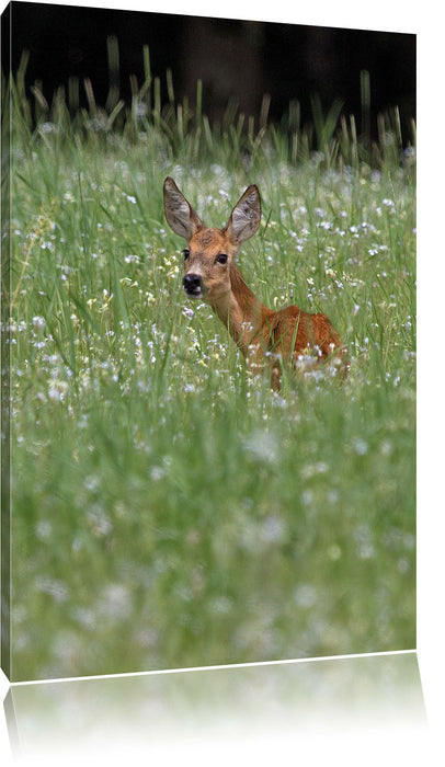 Pixxprint kleines Rehkitz auf Wiese, Leinwandbild