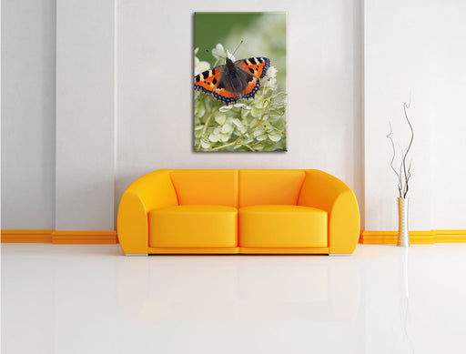 Schmetterling auf weißen Blüten Leinwandbild über Sofa