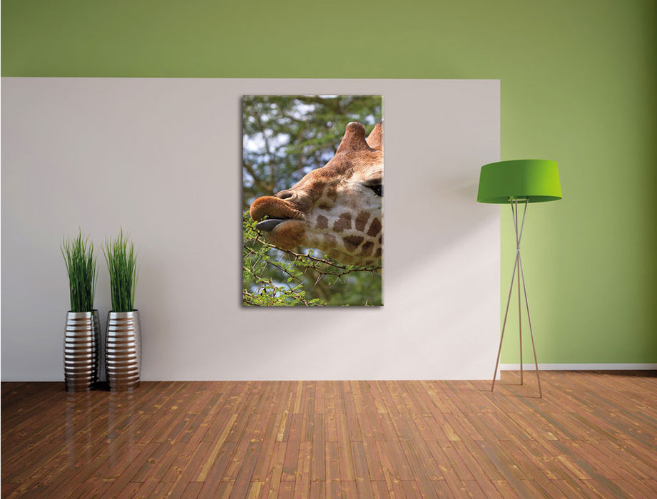 niedliche Giraffe beim Fressen Leinwandbild im Flur