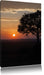 Sonnenaufgang über der Savanne Leinwandbild