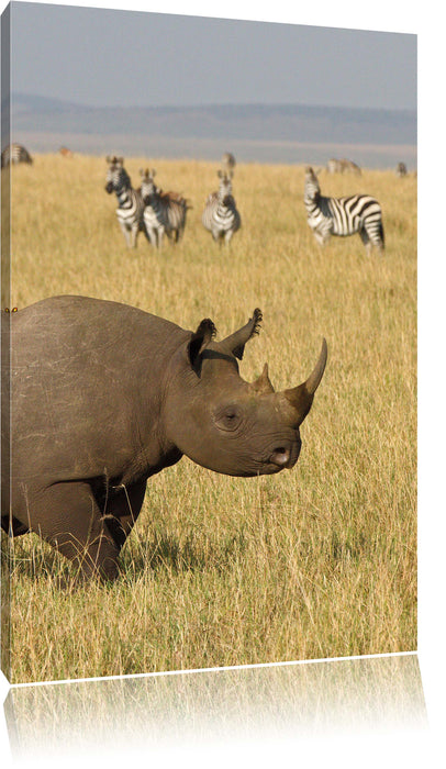 Pixxprint großes Nashorn mit Zebrahorde, Leinwandbild