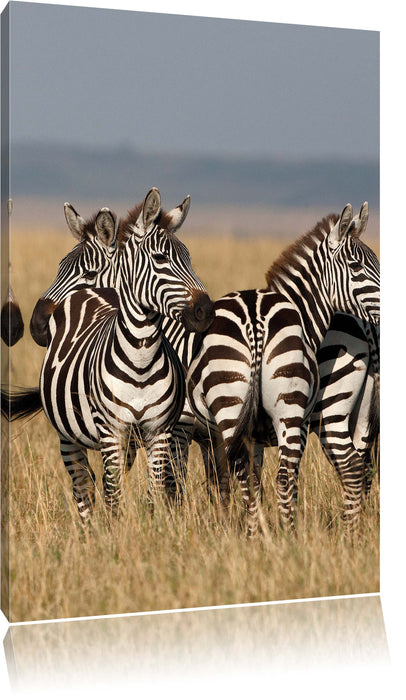 Pixxprint kleine Zebrahorde, Leinwandbild