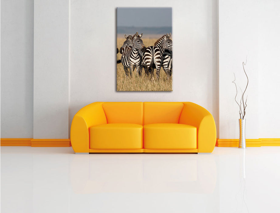 kleine Zebrahorde Leinwandbild über Sofa