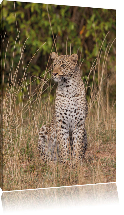 Pixxprint anmutiger Leopard im hohen Gras, Leinwandbild