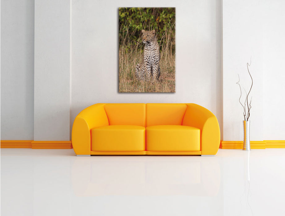 anmutiger Leopard im hohen Gras Leinwandbild über Sofa