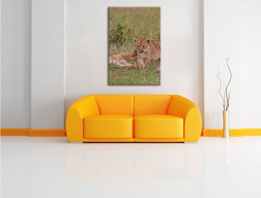zwei Löwenjunge beim Spielen Leinwandbild über Sofa