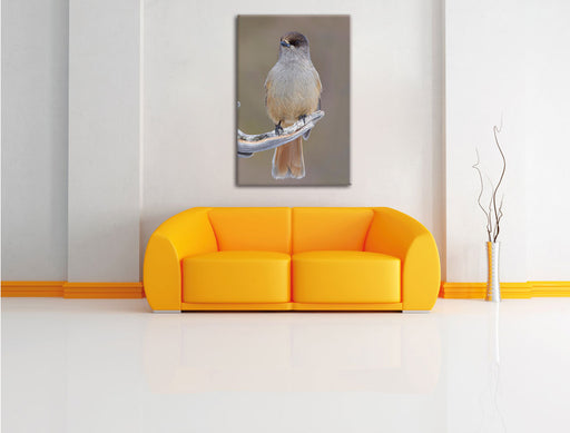 kleiner Vogel auf Ast Leinwandbild über Sofa