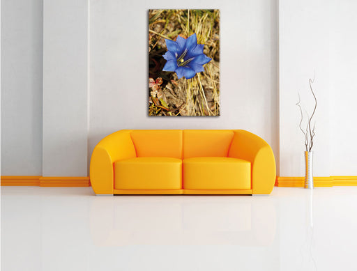 Wunderschöner Enzian im Kornfeld Leinwandbild über Sofa