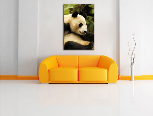 niedlicher Pandabär Leinwandbild über Sofa