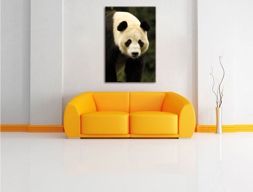 großer Pandabär Leinwandbild über Sofa