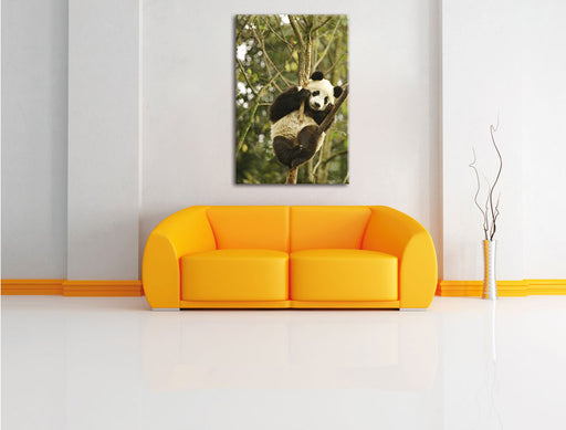 niedlicher Pandabär auf Baum Leinwandbild über Sofa