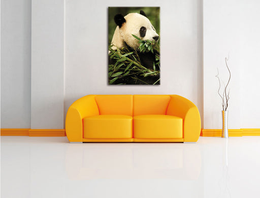 Pandabär beim Fressen Leinwandbild über Sofa
