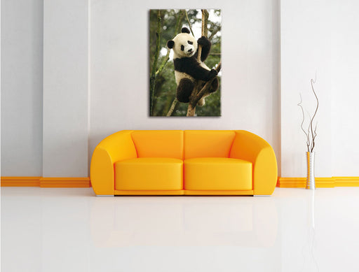 niedlicher Pandabär auf Baum Leinwandbild über Sofa