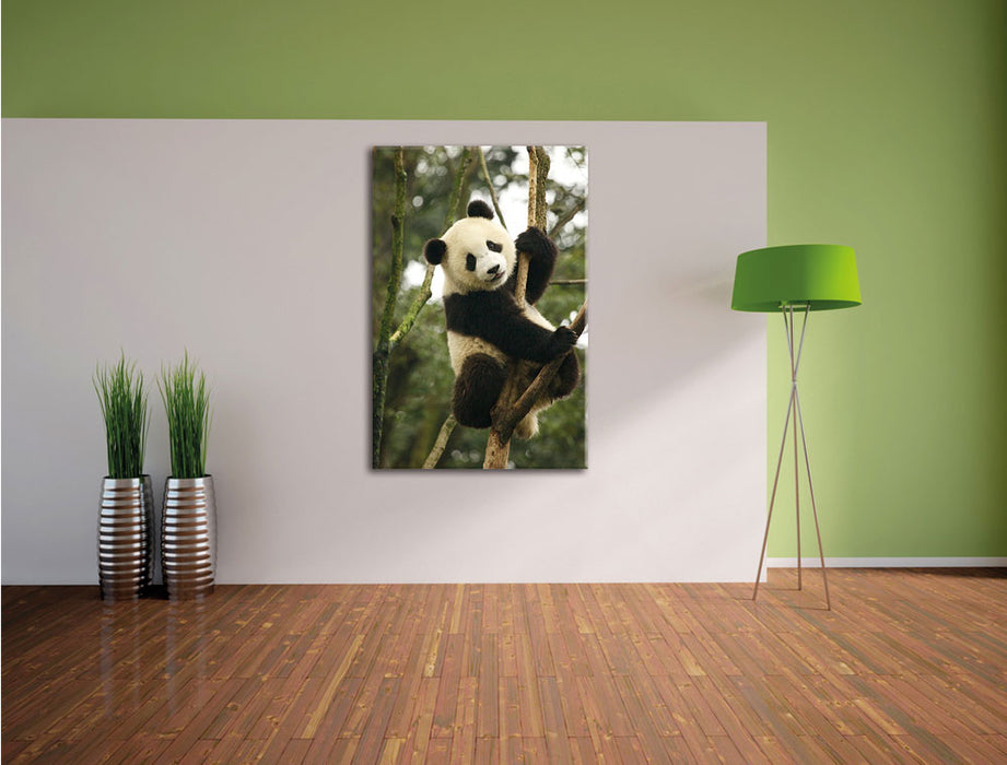 niedlicher Pandabär auf Baum Leinwandbild im Flur