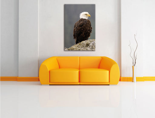wachsamer Adler auf Fels Leinwandbild über Sofa