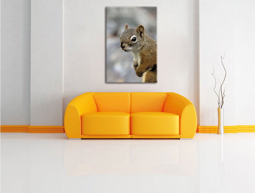 kleines wachsames Eichhörnchen Leinwandbild über Sofa