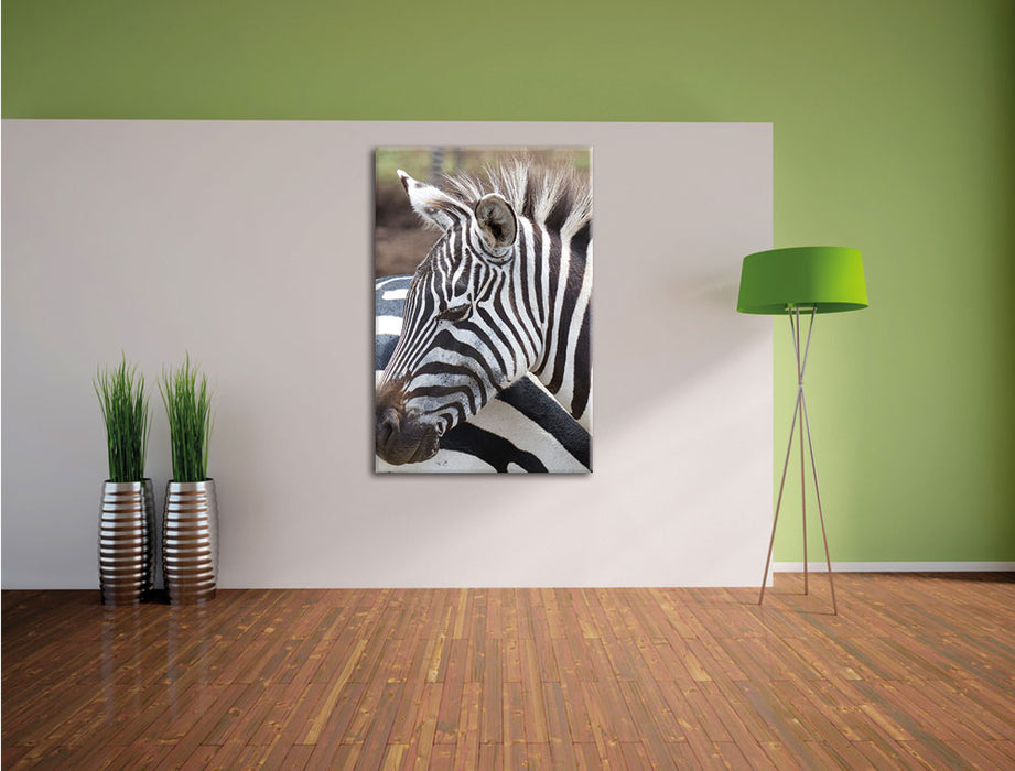 prächtiges Zebra Leinwandbild im Flur