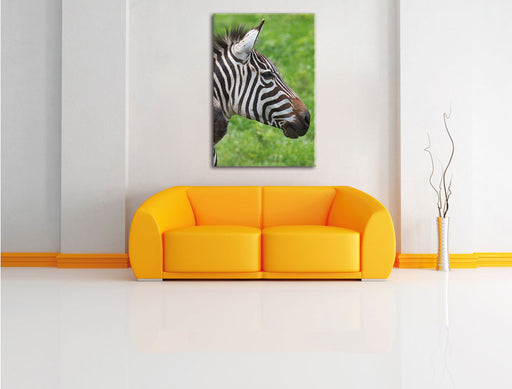 schönes Zebrapaar Leinwandbild über Sofa