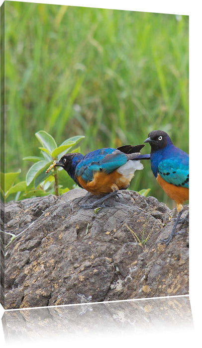 Pixxprint Vögel auf einem Stein, Leinwandbild