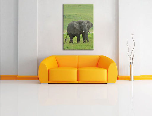 gigantischer Elefant im Gras Leinwandbild über Sofa