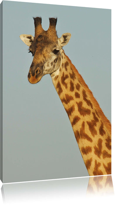 Pixxprint majestätische Giraffe, Leinwandbild