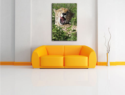 müder Gepard ruht auf Wiese Leinwandbild über Sofa