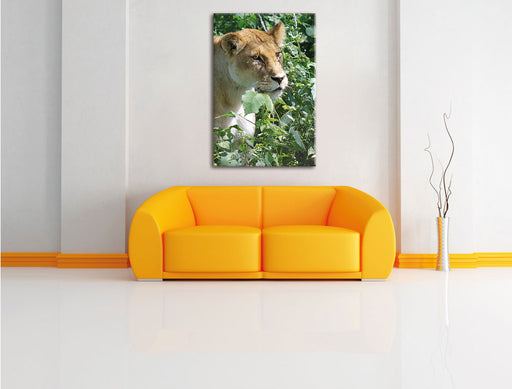 wachsame Löwin Leinwandbild über Sofa