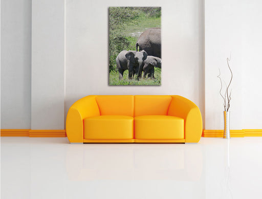 Süße Elefanten Babys Leinwandbild über Sofa
