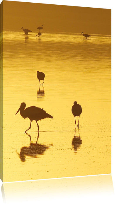 Pixxprint Störche im Wasser, Leinwandbild