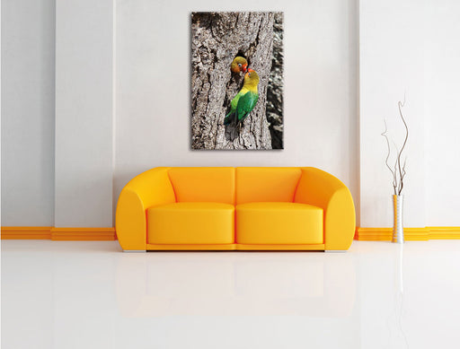 Papageienpaar Leinwandbild über Sofa