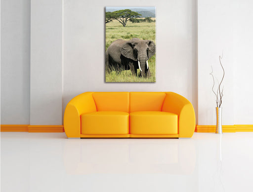 Elefant in der Savanne Leinwandbild über Sofa