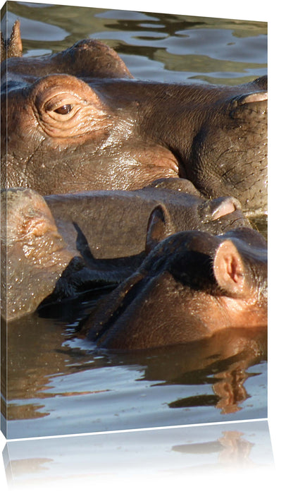 Pixxprint schwimmende Flusspferdfamilie, Leinwandbild